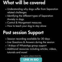 In my Separation Anxiety session, we cover everything from understanding the root causes to actionable management measures. You also get post-session support including a recording and 14 days of guidance in a WhatsApp group.