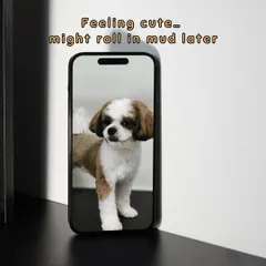 This freshly groomed Shih Tzu is feeling cute and ready for anything, even a playful roll in the mud later. A good haircut makes their coat easier to clean and maintain.