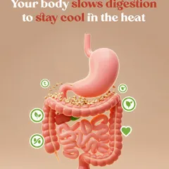 Ever wonder why your appetite drops in the summer? It's because your body slows down digestion to stay cool. We explain what Ayurveda says about adjusting your diet for the season.