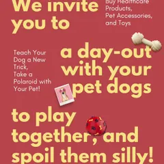 We invite you and your pet dogs for a day out to play together and be spoiled! Our Pawsome Picnic includes activities like learning a new trick and taking a polaroid with your pet.