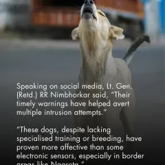 A retired Lieutenant General noted that the timely warnings from these dogs have helped avert multiple intrusion attempts, proving more effective than some electronic sensors in border areas.