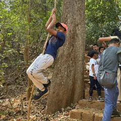 The thrill of adventure! This young explorer enjoys a rope swing during our forest trail in Mumbai, a perfect example of the balance and fun we build into our treks.