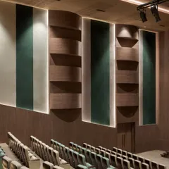 A detail of the auditorium's side wall, showing the interplay of wood-paneled and fabric-covered acoustic panels. The curved forms and integrated strip lighting add a dynamic and sophisticated architectural element to the space.