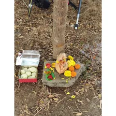 Offerings during our Ram Navami celebration, which marks the anniversary of our Bandra range.