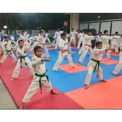 A class of young students in various colored belts practicing their basic stances. This shows the clear progression path from beginner to advanced levels.