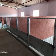 This view shows a row of our clean and secure kennels. The solid construction and wire mesh doors provide both safety and good air circulation.