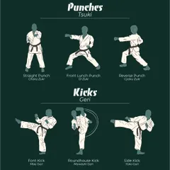 These are the basic tools of karate. Learn the names and proper form for fundamental punches like Oi Zuki and kicks like Mae Geri.