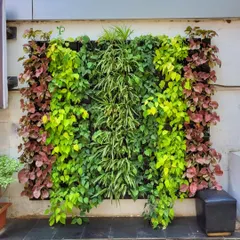 This outdoor vertical garden is a perfect example of how to solve the problem of limited space in Mumbai. I used a mix of trailing and upright plants with different leaf colors, like Syngonium and Pothos, to create a lush, cascading effect.