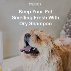For those days between full baths, my Dry Shampoo is a perfect way to keep your pet smelling fresh. It's a quick and easy waterless solution to absorb excess oils and deodorize the coat, shown here on a fluffy Chow Chow.