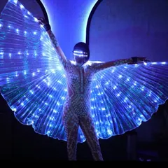 Spreading my wings at a show for Boho. These LED butterfly wings create a stunning visual, perfect for indoor events, club nights, and themed parties where you want a touch of magic.
