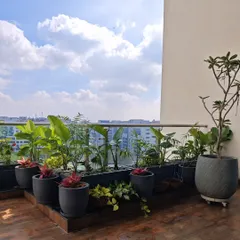 A modern balcony garden with a stunning city view. I used a combination of sleek grey planters and lush green plants to create a contemporary and relaxing outdoor space.