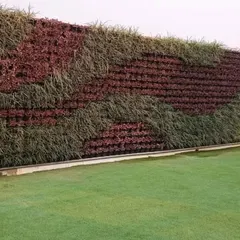 A closer look at the intricate patterns on our vertical garden. This section shows how we blend different species, like the reddish Alternanthera and green grasses, to create a living tapestry.