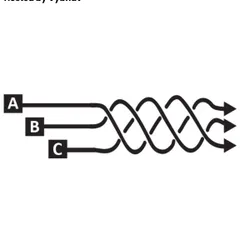 We explored the sophisticated technique of juxtaposition by weaving together parallel plots. This session focused on how multiple storylines can intersect and comment on each other to create a richer, more complex narrative.