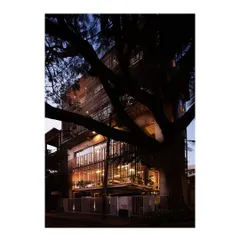 My own studio at dusk, conceived as a translucent lantern framed by a mature rain tree. The design is an honest expression of its structure, with three robust concrete portals supporting suspended galleries. It is a living example of my belief in open, evolving spaces that foster creativity.