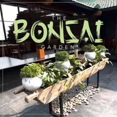 For the Haiku restaurant in Kokapet, I designed this signature bonsai garden. The centerpiece is a custom planter made from a reclaimed wooden boat, filled with a curated selection of plants and surrounded by smooth river stones. This installation provides a unique, artistic focal point for their terrace.