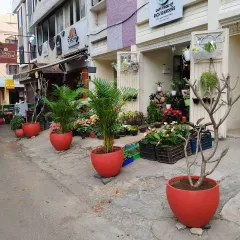 Here's a daytime view of my storefront on a quiet street in Indiranagar. I always keep a fresh selection of plants outside so you can see what's new as you walk by.