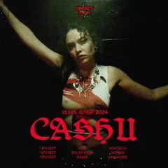The tour poster for Cashu's 2024 India tour, which I managed. My services include organizing multi-city tours for international artists, handling logistics, and promoting the shows.