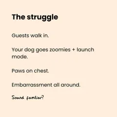 We've all been there: guests walk in, and your dog goes into launch mode. This graphic describes the familiar, embarrassing struggle of a dog jumping on visitors, setting the stage for a real solution.