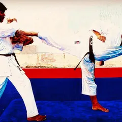 A black belt's body is a weapon forged through years of relentless training. This powerful side kick demonstrates how we condition our students to deliver impactful strikes for effective self-defense.