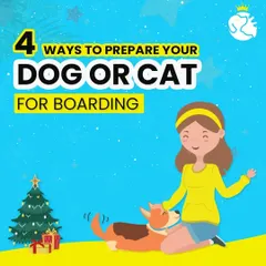 Preparing your dog or cat for boarding can make their stay stress-free. Here are 4 ways to prepare your pet for a comfortable and happy experience with us.