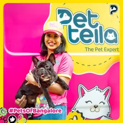 This is our co-founder Sukrutha with her beloved French Bulldog, Rambo. Being pet parents is at the heart of our company, and this connection inspires us to build a service that truly understands the needs of pets and their families.