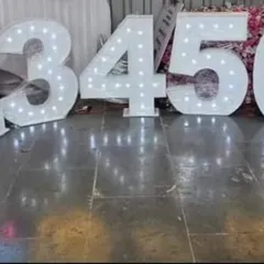 Large light-up marquee numbers are available to highlight the birthday age. They make a big impact in photos and are a popular rental item.