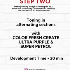 Step Two is toning in alternating sections. I used Color Fresh Create Ultra Purple and Super Petrol to create this beautiful, iridescent effect.