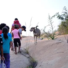 Our crew, including some new young climbers and a friendly local dog, hiking to the climbing spot. The adventure begins before you even touch the rock!