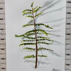 The final painting from the live plant study. The student has successfully captured the form of the leaves and the subtle cast shadows, demonstrating a solid grasp of foundational painting principles.