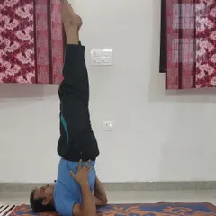 Sarvangasana (Shoulder Stand) is a powerful inversion that benefits the circulatory and endocrine systems. We guide students into this pose with careful attention to neck safety and proper alignment.