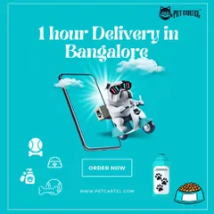 Ran out of pet food? We've got your back. For our customers in Bangalore, we offer super-fast 1-hour delivery on all your pet supply needs. This graphic highlights our promise of getting you what you need, when you need it, without the hassle.