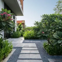 A modern garden path using a combination of gravel and stone pavers. The path is surrounded by lush Plumeria trees and other tropical plants, creating a sensory experience.