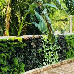 A close-up of a dense and healthy vertical garden, showing a mix of different plant species to create varied textures and shades of green. This living wall is part of a villa entrance in Faridabad.