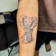A full view of the completed realistic elephant tattoo, showcasing the fine details and smooth shading.