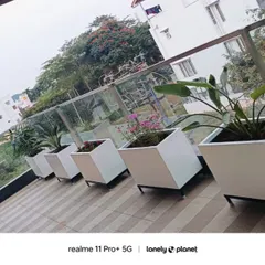 A clean and modern balcony design using a series of white, square FRP planters. This setup creates a uniform and elegant green border, perfect for apartment balconies with glass railings.
