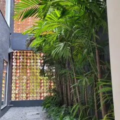 A narrow courtyard at Campus Biovet, where a brick jaali wall allows for light and ventilation while maintaining privacy. The lush tropical plants create a serene green corridor against the textured, earthy backdrop of the brickwork.