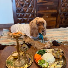 Posto with his traditional Bengali meal and a lit diya, a picture of peace and contentment.