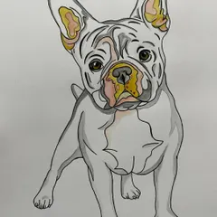 A playful watercolor and ink portrait of a French Bulldog. I can create custom pet portraits from your photos to capture the unique personality of your furry friend.