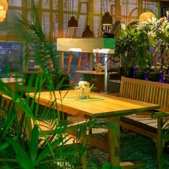 A cozy corner in Social Offline, filled with lush greenery. This image conveys a feeling of being in a calm, green oasis, even indoors.