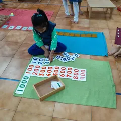 This child is working with number cards, a key material in our visual math curriculum. This hands-on approach helps children build a deep, intuitive understanding of quantity and the decimal system, moving beyond simple memorization.