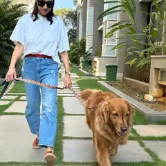 A comfortable dog and a confident handler. Choosing the right equipment, like a well-fitting harness and a comfortable leash, makes all the difference on our daily walks.