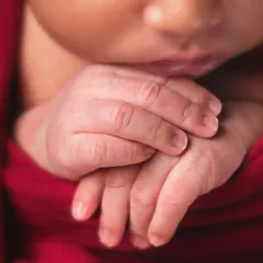 A close-up of a newborn's hands against a red wrap. The detail is so clear you can see the lines on their tiny fingers.
