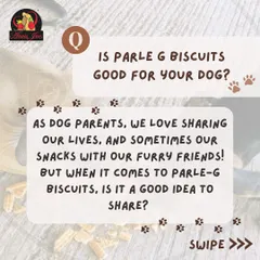 We love sharing our lives and snacks with our furry friends. But when it comes to human treats like Parle-G biscuits, is it a good idea to share? Let's find out.