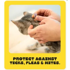 Protect your pet from ticks, fleas, and mites. Regular prevention is key to avoiding infestations that can cause skin problems and other health issues. We can help you choose the right product.