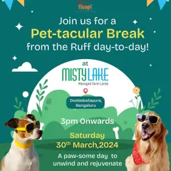 Take a pet-tacular break from the ruff day-to-day. I organize relaxing and fun-filled weekend events like this one at Misty Lake, with games and activities for a purrfect day out.