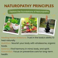 These are the foundational principles of Naturopathy that guide my work. I believe in the healing power of nature, nourishing the body with wholesome foods, and focusing on prevention to achieve long-term health.