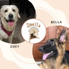 Meet the inspirations behind my work. Zoey, my goofy Golden Retriever, and Bella, my sweet German Shepherd. Their names combine to form "Zoella," which means "complete life," because that's what they gave me.