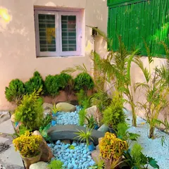 This is a small Zen garden I created. It features a dry riverbed of white pebbles, carefully placed rocks, and a mix of small shrubs and plants to create a calm, meditative corner in a small space.