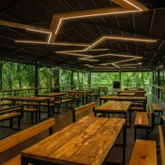 My dining area is surrounded by lush greenery, offering a serene environment to enjoy your meal. The modern lighting adds to the ambiance.