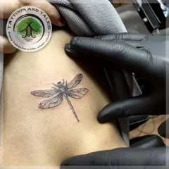 A tiny, single-needle dragonfly tattoo placed on the collarbone. This is an example of a delicate and subtle piece in a popular placement.